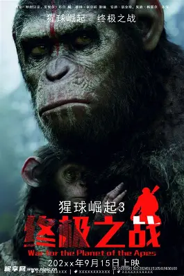 探索宇宙边缘